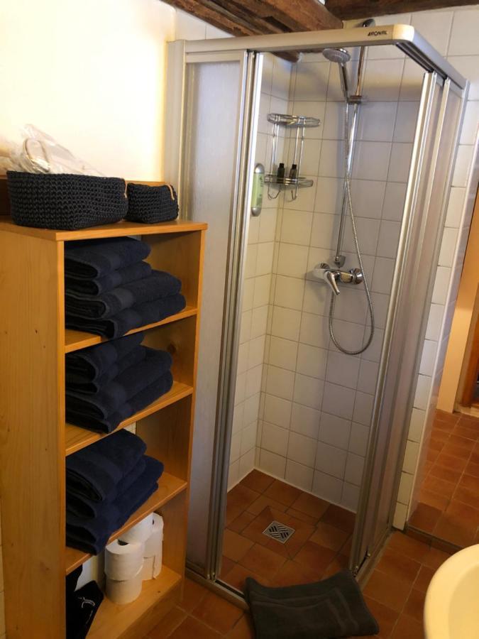 Villa Wildbachidylle à Lichtenberg/Erzgebirge Extérieur photo
